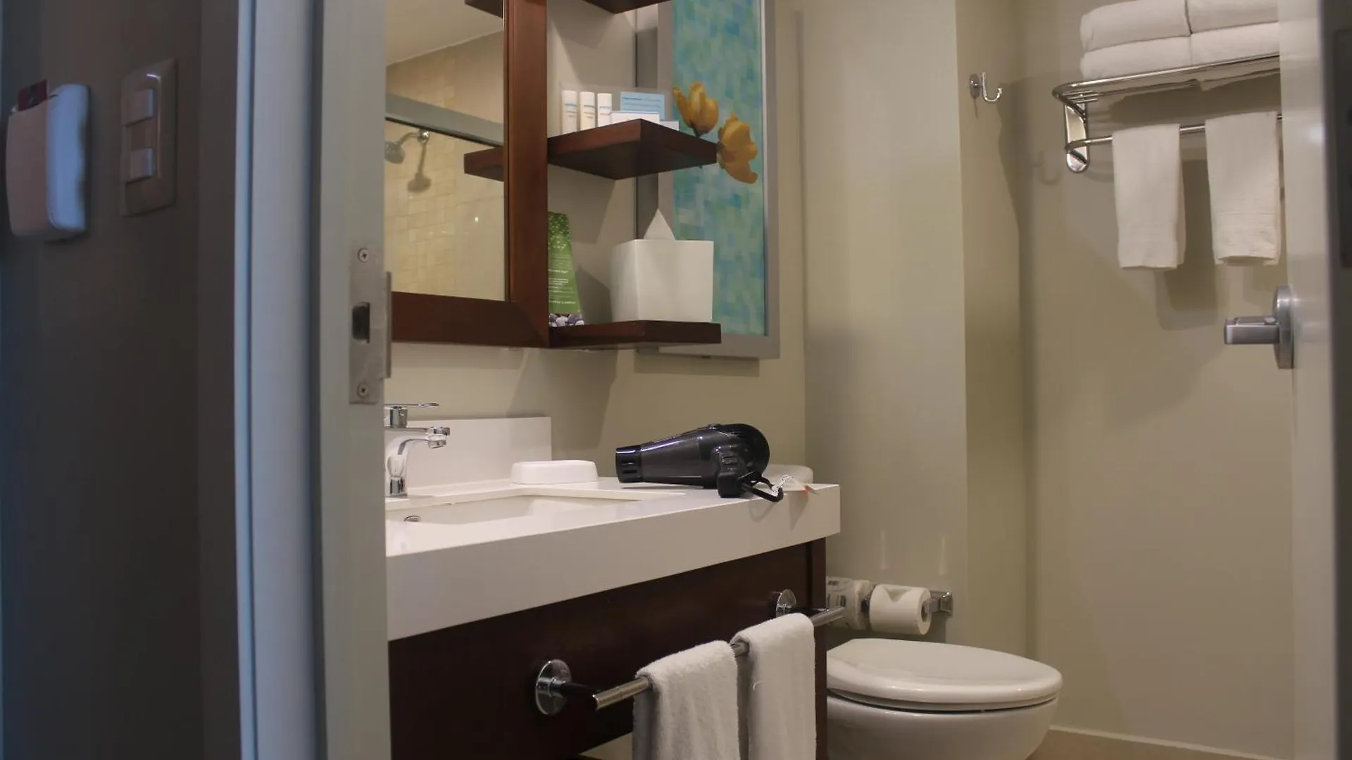 Hampton Inn By Hilton Merida Hotel